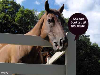 111 BIRCHSIDE, LOCUST GROVE, Virginia 22508, 3 Bedrooms Bedrooms, 6 Rooms Rooms,3 BathroomsBathrooms,Residential,For sale,111 BIRCHSIDE,VAOR2012428 MLS # VAOR2012428