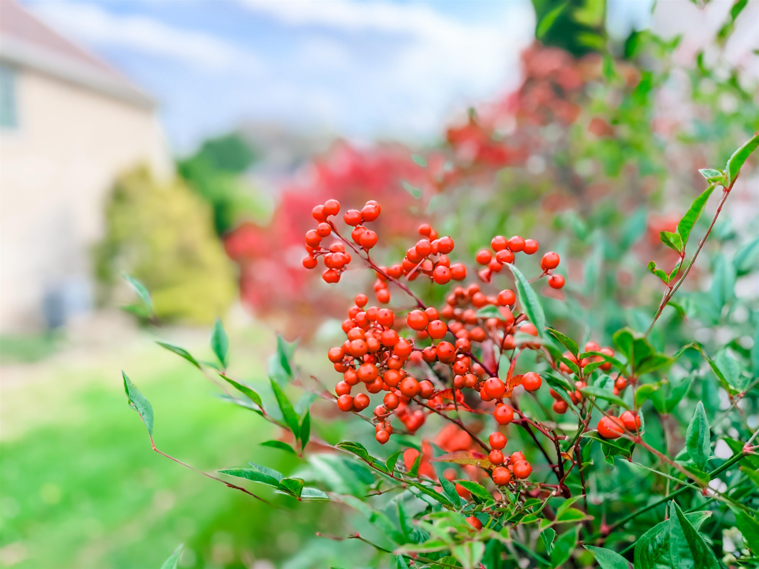 601 REGIMENT RD, PENN LAIRD, Virginia 22846, 5 Bedrooms Bedrooms, ,3 BathroomsBathrooms,Residential,601 REGIMENT RD,670875 MLS # 670875 601 REGIMENT RD, PENN LAIRD, Virginia 22846, 5 Bedrooms Bedrooms, ,3 BathroomsBathrooms,Residential,601 REGIMENT RD,670875 MLS # 670875