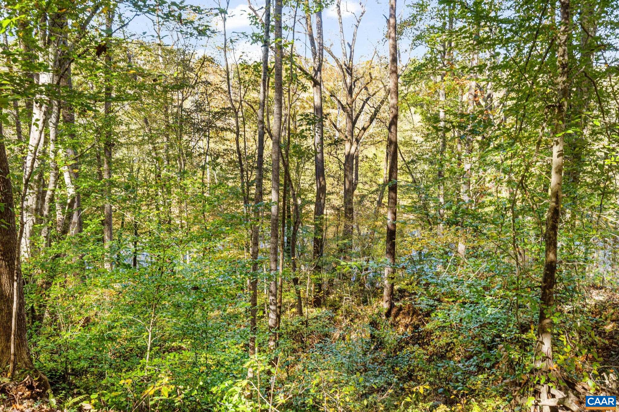 60 CHIPPEWA LN, PALMYRA, Virginia 22963, 3 Bedrooms Bedrooms, ,2 BathroomsBathrooms,Residential,60 CHIPPEWA LN,670877 MLS # 670877 60 CHIPPEWA LN, PALMYRA, Virginia 22963, 3 Bedrooms Bedrooms, ,2 BathroomsBathrooms,Residential,60 CHIPPEWA LN,670877 MLS # 670877