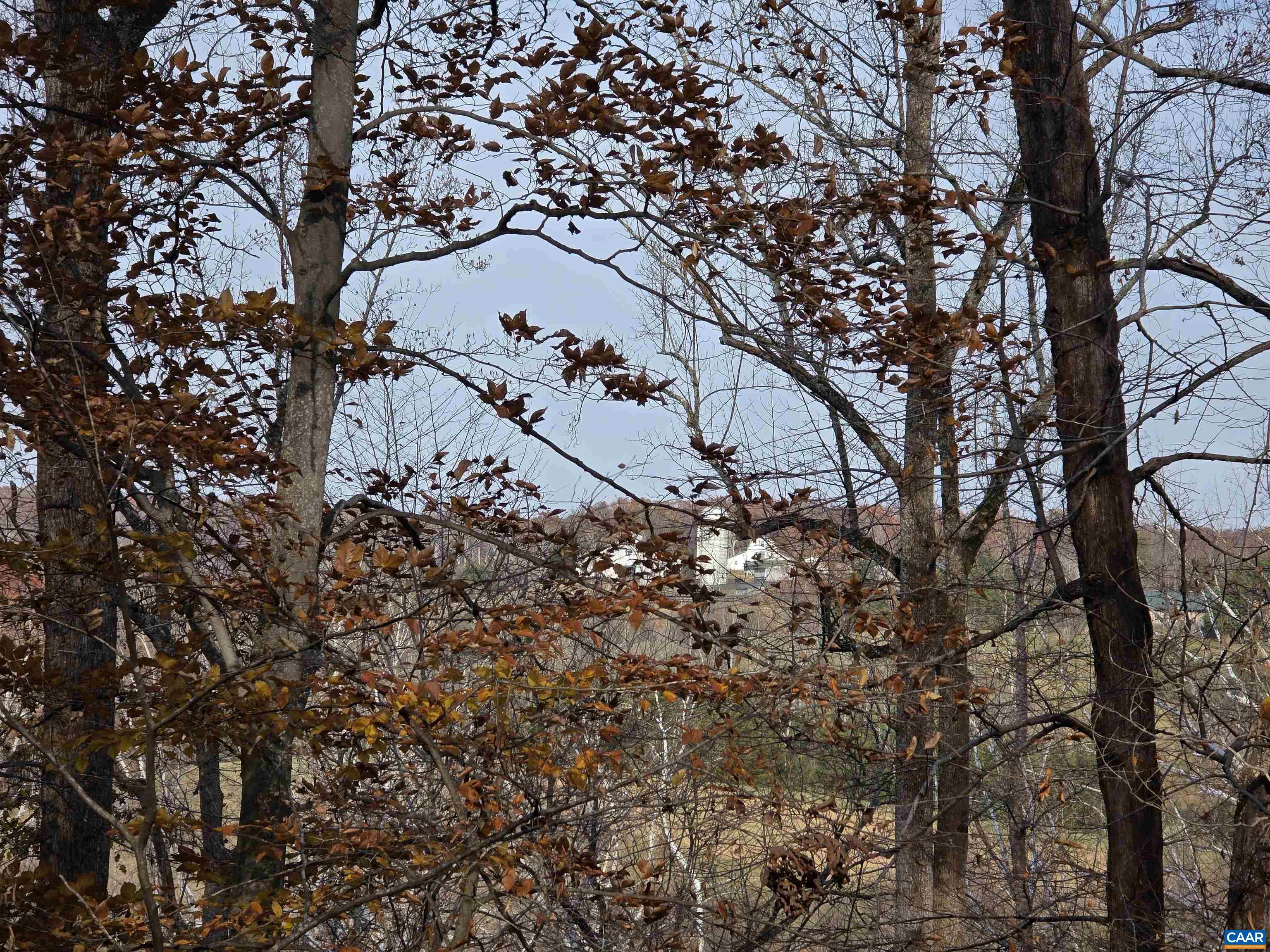 60 CHIPPEWA LN, PALMYRA, Virginia 22963, 3 Bedrooms Bedrooms, ,2 BathroomsBathrooms,Residential,60 CHIPPEWA LN,670877 MLS # 670877 60 CHIPPEWA LN, PALMYRA, Virginia 22963, 3 Bedrooms Bedrooms, ,2 BathroomsBathrooms,Residential,60 CHIPPEWA LN,670877 MLS # 670877