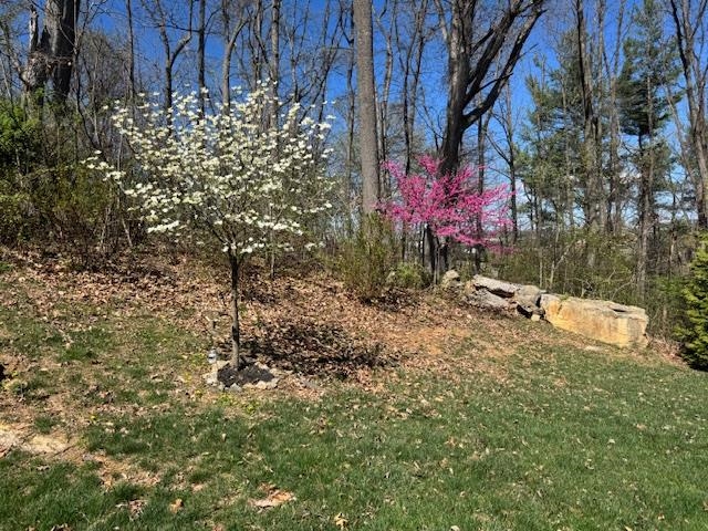 124 STEEPLECHASE DR, PENN LAIRD, Virginia 22846, 5 Bedrooms Bedrooms, ,2 BathroomsBathrooms,Residential,124 STEEPLECHASE DR,670883 MLS # 670883