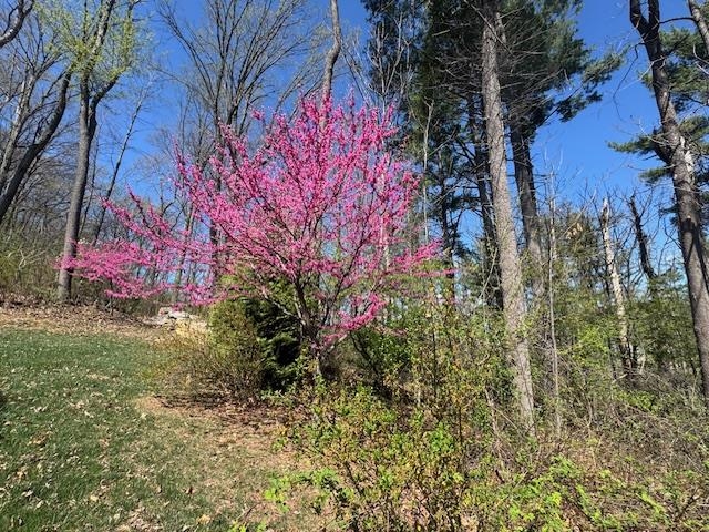 124 STEEPLECHASE DR, PENN LAIRD, Virginia 22846, 5 Bedrooms Bedrooms, ,2 BathroomsBathrooms,Residential,124 STEEPLECHASE DR,670883 MLS # 670883