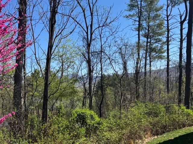 124 STEEPLECHASE DR, PENN LAIRD, Virginia 22846, 5 Bedrooms Bedrooms, ,2 BathroomsBathrooms,Residential,124 STEEPLECHASE DR,670883 MLS # 670883