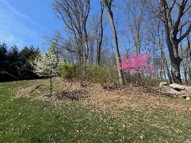 124 STEEPLECHASE DR, PENN LAIRD, Virginia 22846, 5 Bedrooms Bedrooms, ,2 BathroomsBathrooms,Residential,124 STEEPLECHASE DR,670883 MLS # 670883