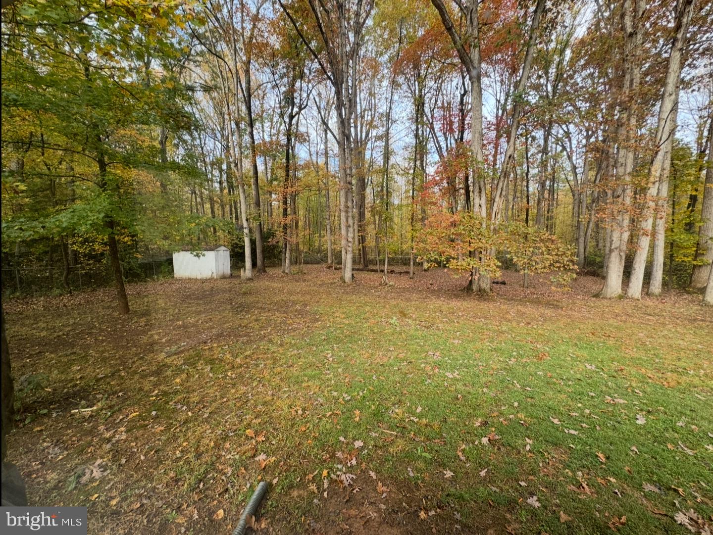 5539 CEDON RD SW, WOODFORD, Virginia 22580, 3 Bedrooms Bedrooms, ,2 BathroomsBathrooms,Residential,For sale,5539 CEDON RD SW,VACV2009014 MLS # VACV2009014 5539 CEDON RD SW, WOODFORD, Virginia 22580, 3 Bedrooms Bedrooms, ,2 BathroomsBathrooms,Residential,For sale,5539 CEDON RD SW,VACV2009014 MLS # VACV2009014