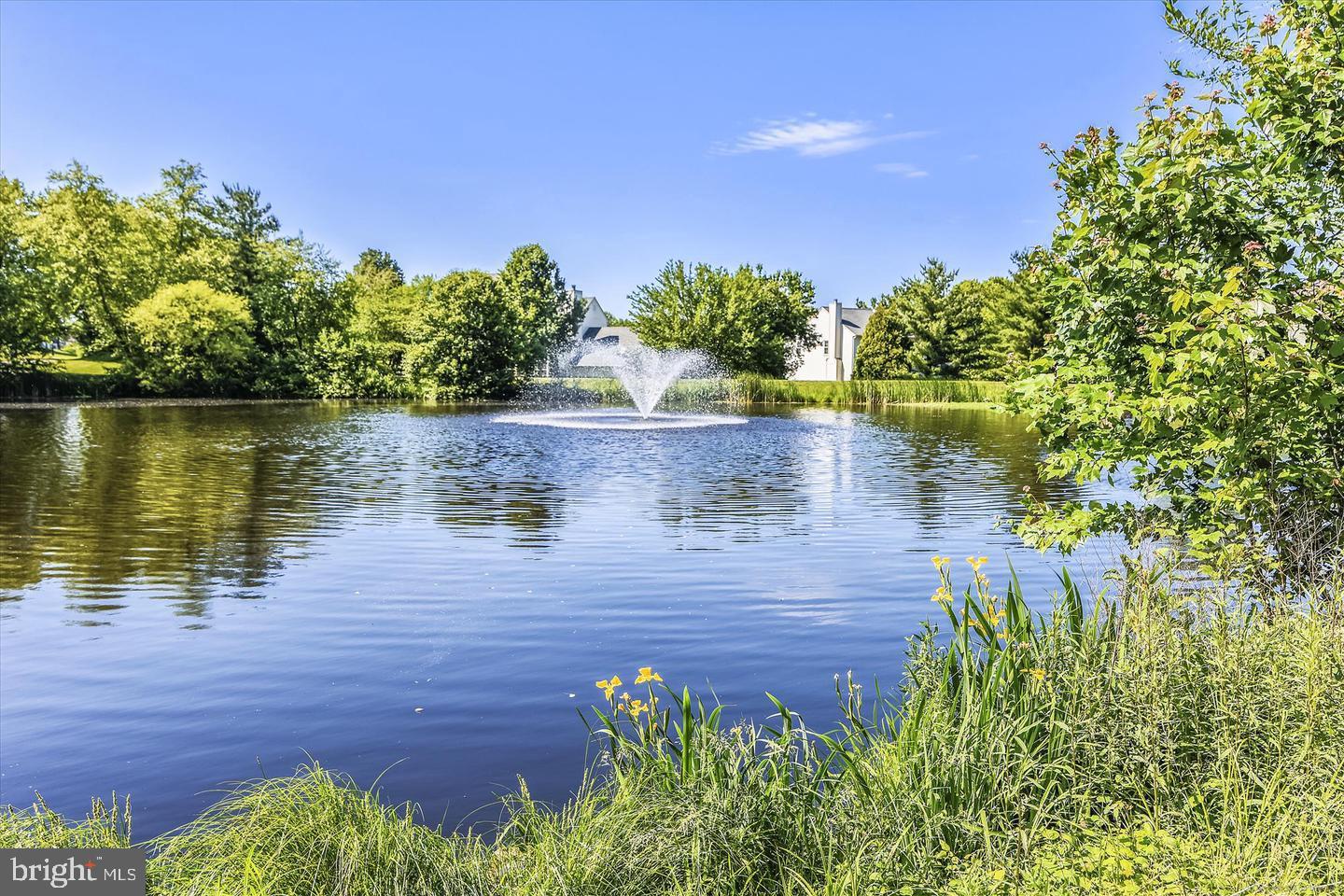 21111 DEEP FURROW CT, ASHBURN, Virginia 20147, 5 Bedrooms Bedrooms, ,3 BathroomsBathrooms,Residential,For sale,21111 DEEP FURROW CT,VALO2110020 MLS # VALO2110020 21111 DEEP FURROW CT, ASHBURN, Virginia 20147, 5 Bedrooms Bedrooms, ,3 BathroomsBathrooms,Residential,For sale,21111 DEEP FURROW CT,VALO2110020 MLS # VALO2110020