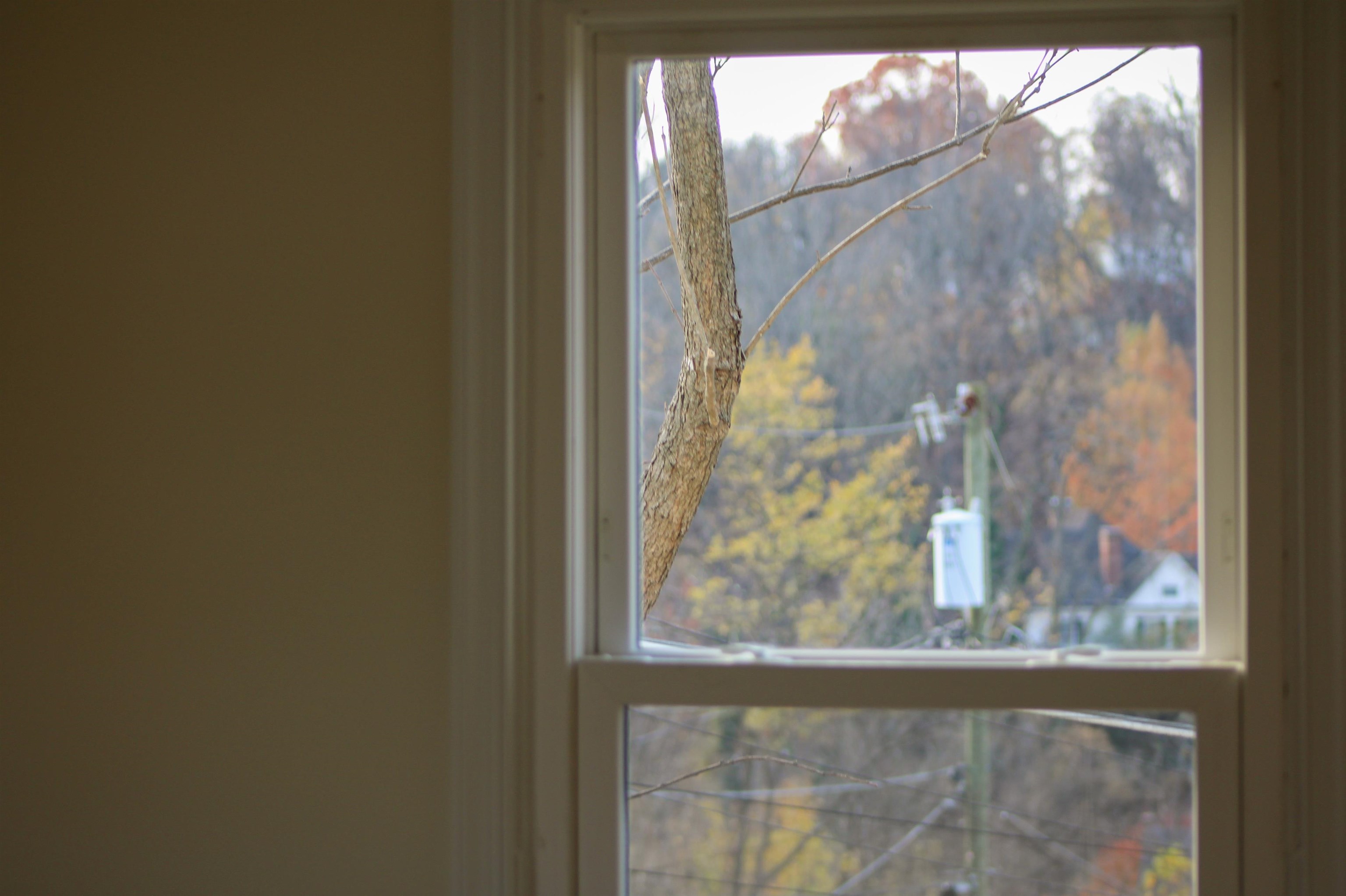 802 BURWELL AVE, STAUNTON, Virginia 24401, 2 Bedrooms Bedrooms, ,2 BathroomsBathrooms,Residential,802 BURWELL AVE,670890 MLS # 670890