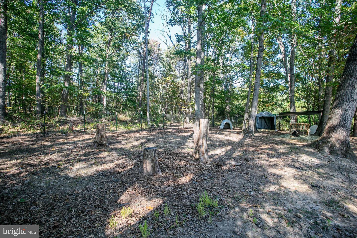 14343 GENERAL LONGSTREET AVE, CULPEPER, Virginia 22701, 3 Bedrooms Bedrooms, ,2 BathroomsBathrooms,Residential,For sale,14343 GENERAL LONGSTREET AVE,VACU2011488 MLS # VACU2011488