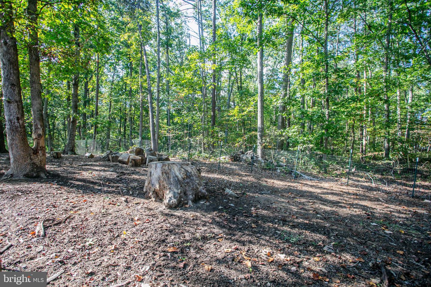 14343 GENERAL LONGSTREET AVE, CULPEPER, Virginia 22701, 3 Bedrooms Bedrooms, ,2 BathroomsBathrooms,Residential,For sale,14343 GENERAL LONGSTREET AVE,VACU2011488 MLS # VACU2011488