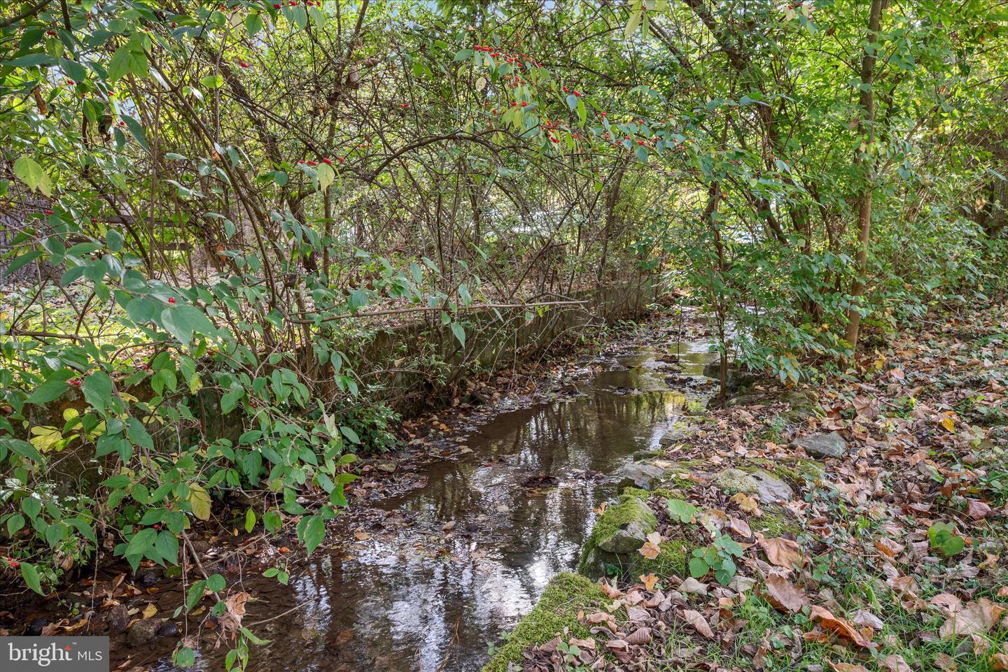 1621 LOCKES MILL ROAD RD, BERRYVILLE, Virginia 22611, 4 Bedrooms Bedrooms, ,2 BathroomsBathrooms,Residential,For sale,1621 LOCKES MILL ROAD RD,VACL2006186 MLS # VACL2006186