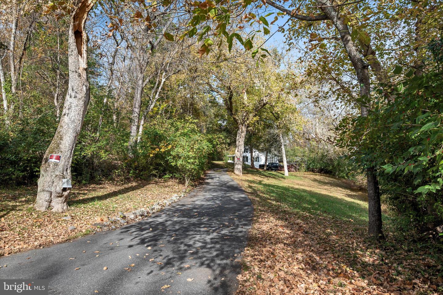 1621 LOCKES MILL ROAD RD, BERRYVILLE, Virginia 22611, 4 Bedrooms Bedrooms, ,2 BathroomsBathrooms,Residential,For sale,1621 LOCKES MILL ROAD RD,VACL2006186 MLS # VACL2006186