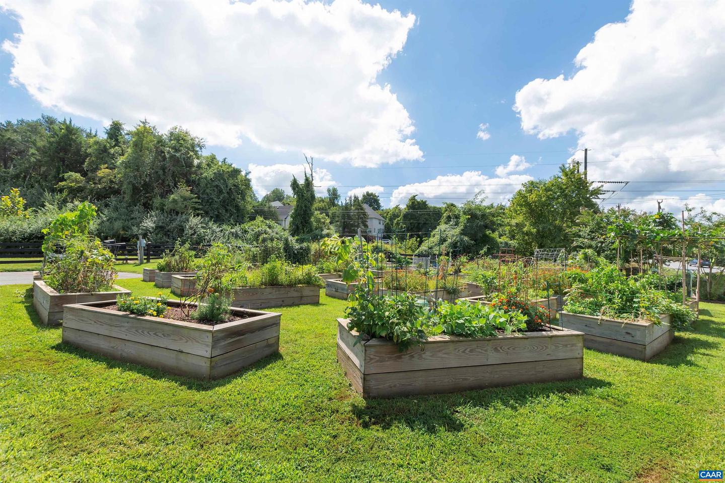 1395 DELPHI LN, CHARLOTTESVILLE, Virginia 22911, 2 Bedrooms Bedrooms, ,3 BathroomsBathrooms,Residential,For sale,1395 DELPHI LN,670805 MLS # 670805