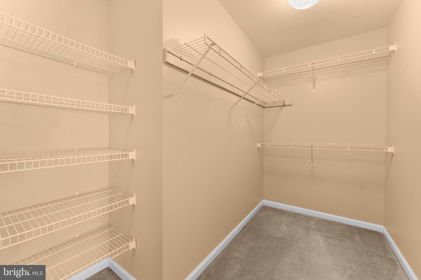 487 KEARNS DR, CULPEPER, Virginia 22701, 3 Bedrooms Bedrooms, ,2 BathroomsBathrooms,Residential,For sale,487 KEARNS DR,VACU2012018 MLS # VACU2012018 487 KEARNS DR, CULPEPER, Virginia 22701, 3 Bedrooms Bedrooms, ,2 BathroomsBathrooms,Residential,For sale,487 KEARNS DR,VACU2012018 MLS # VACU2012018