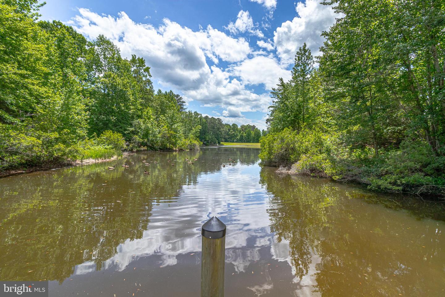 647 LAKEVIEW DR, HEATHSVILLE, Virginia 22473, 3 Bedrooms Bedrooms, 5 Rooms Rooms,2 BathroomsBathrooms,Residential,For sale,647 LAKEVIEW DR,VANV2001806 MLS # VANV2001806