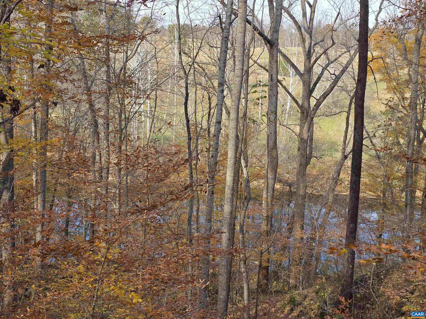 60 CHIPPEWA LN, PALMYRA, Virginia 22963, 3 Bedrooms Bedrooms, ,2 BathroomsBathrooms,Residential,For sale,60 CHIPPEWA LN,670877 MLS # 670877