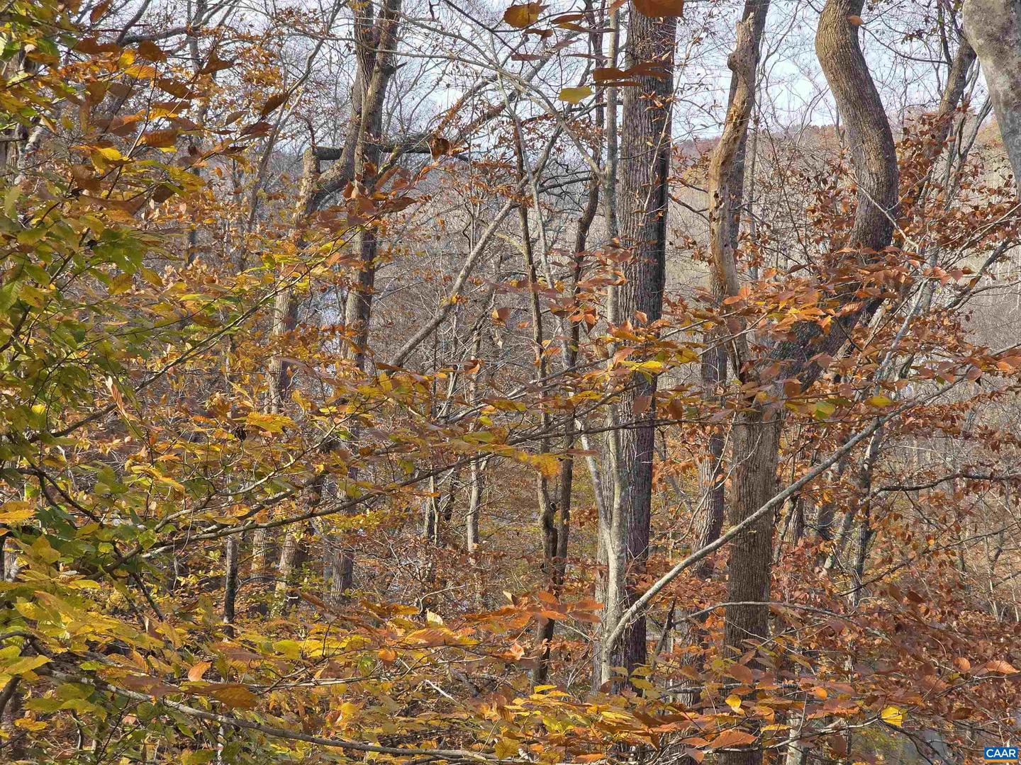 60 CHIPPEWA LN, PALMYRA, Virginia 22963, 3 Bedrooms Bedrooms, ,2 BathroomsBathrooms,Residential,For sale,60 CHIPPEWA LN,670877 MLS # 670877