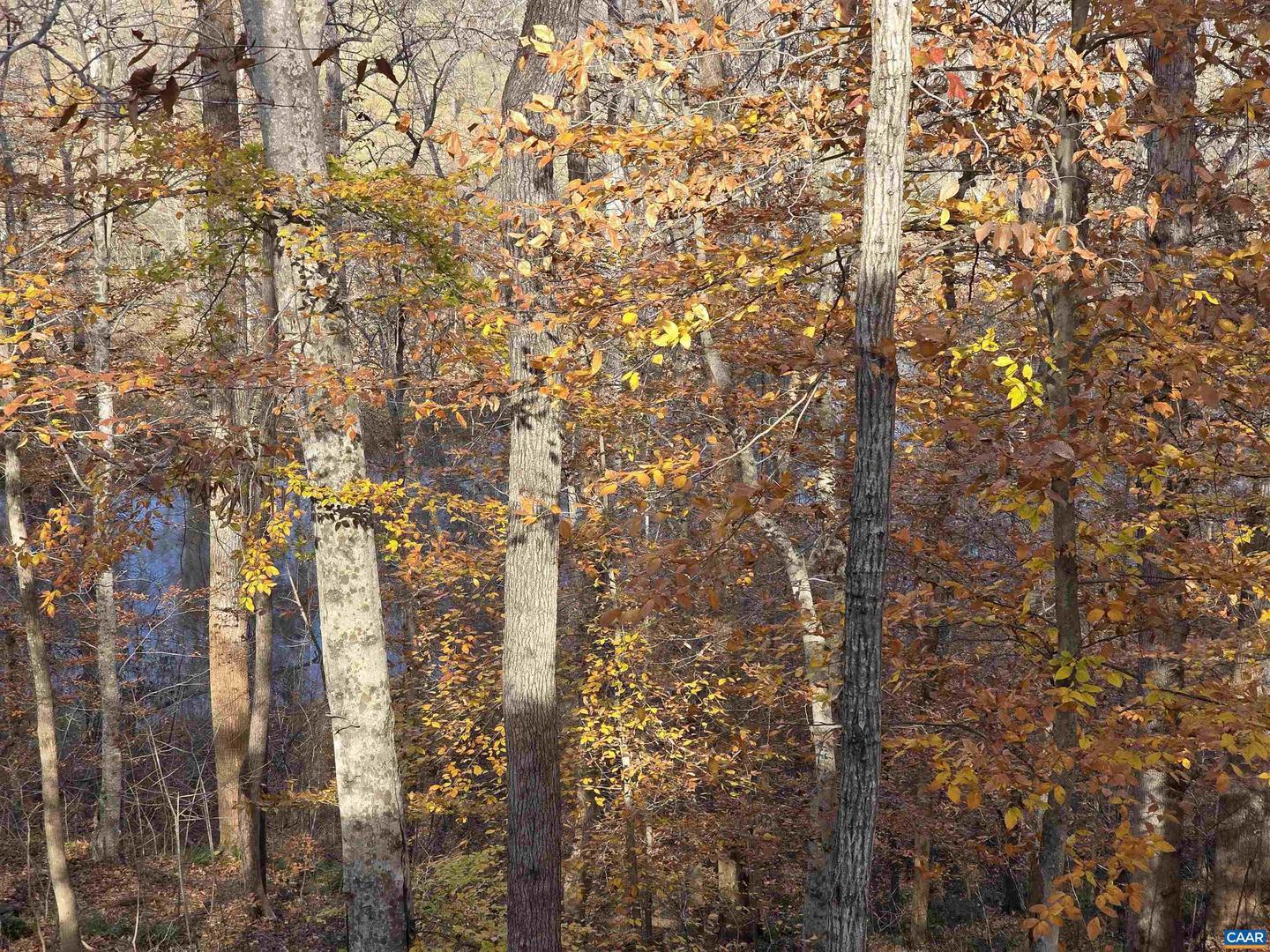 60 CHIPPEWA LN, PALMYRA, Virginia 22963, 3 Bedrooms Bedrooms, ,2 BathroomsBathrooms,Residential,For sale,60 CHIPPEWA LN,670877 MLS # 670877