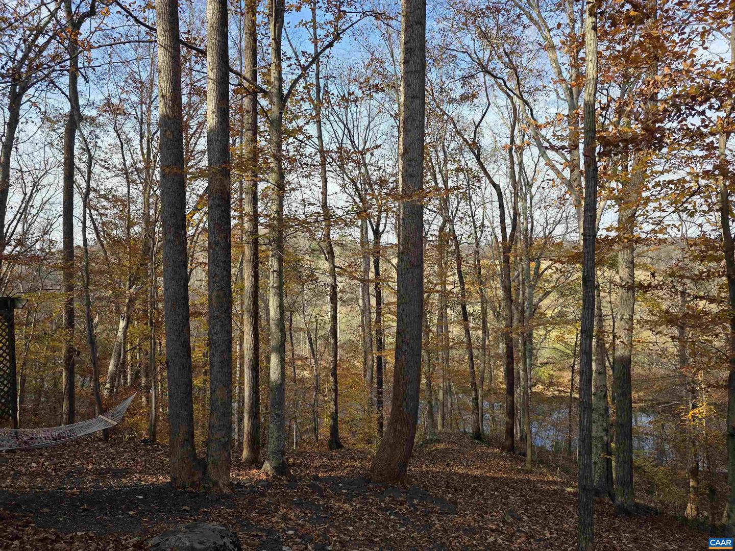 60 CHIPPEWA LN, PALMYRA, Virginia 22963, 3 Bedrooms Bedrooms, ,2 BathroomsBathrooms,Residential,For sale,60 CHIPPEWA LN,670877 MLS # 670877