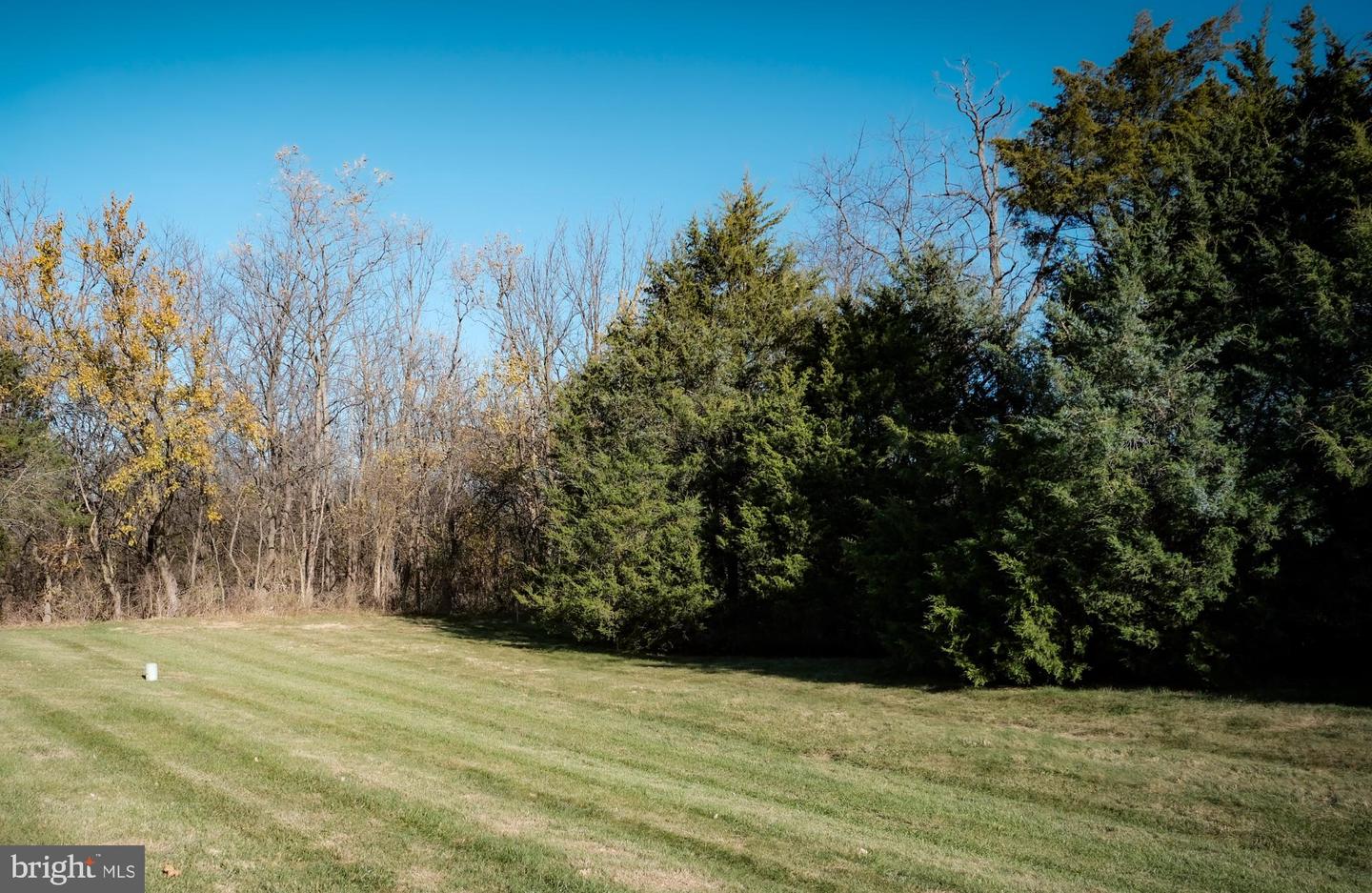 105 TANGLEWOOD LN, WINCHESTER, Virginia 22602, 2 Bedrooms Bedrooms, 5 Rooms Rooms,2 BathroomsBathrooms,Residential,For sale,105 TANGLEWOOD LN,VAFV2037966 MLS # VAFV2037966