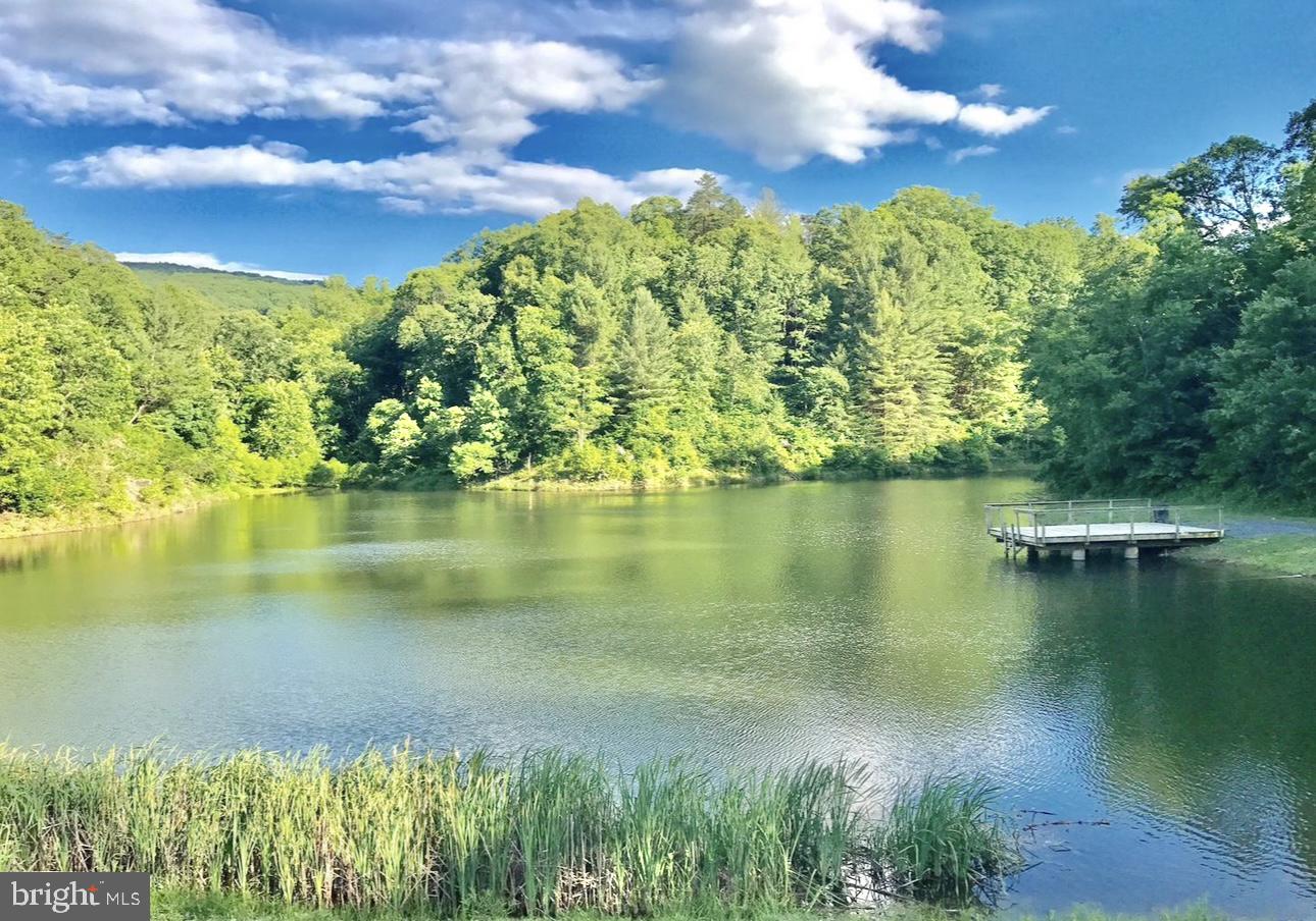 3 LEE DRIVE, LINDEN, Virginia 22642, 3 Bedrooms Bedrooms, ,2 BathroomsBathrooms,Residential,For sale,3 LEE DRIVE,VAWR2012740 MLS # VAWR2012740 3 LEE DRIVE, LINDEN, Virginia 22642, 3 Bedrooms Bedrooms, ,2 BathroomsBathrooms,Residential,For sale,3 LEE DRIVE,VAWR2012740 MLS # VAWR2012740