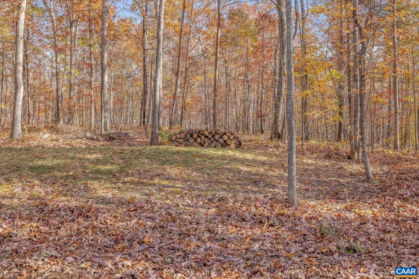 6485 GORDONSVILLE RD, KESWICK, Virginia 22947, 3 Bedrooms Bedrooms, ,2 BathroomsBathrooms,Residential,For sale,6485 GORDONSVILLE RD,670891 MLS # 670891