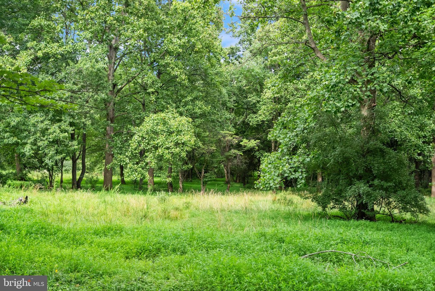 16720 SOMMERTIME, HAMILTON, Virginia 20158, 6 Bedrooms Bedrooms, ,5 BathroomsBathrooms,Residential,For sale,16720 SOMMERTIME,VALO2108582 MLS # VALO2108582