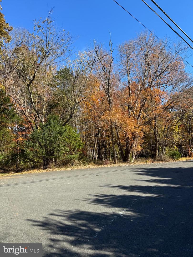 BLUE RIDGE LANE #24A3, GREAT FALLS, Virginia 22066, ,Land,For sale,BLUE RIDGE LANE #24A3,VAFX2275428 MLS # VAFX2275428