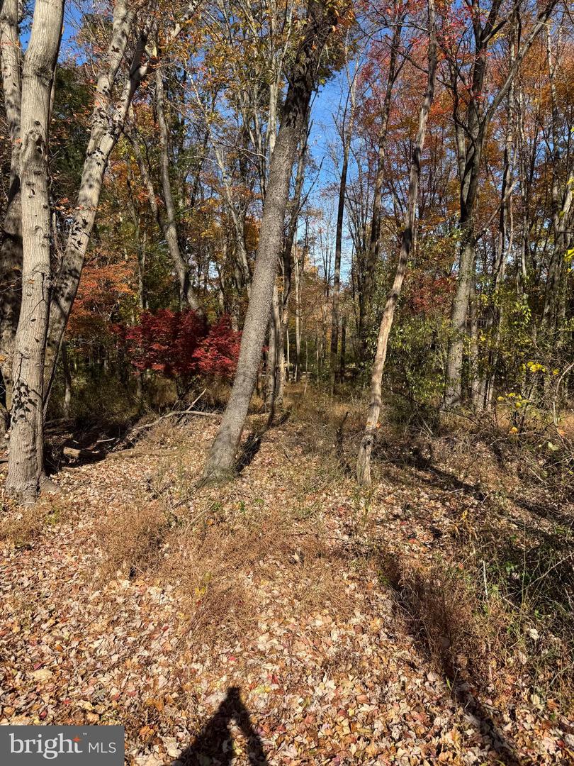 BLUE RIDGE LANE #24A3, GREAT FALLS, Virginia 22066, ,Land,For sale,BLUE RIDGE LANE #24A3,VAFX2275428 MLS # VAFX2275428