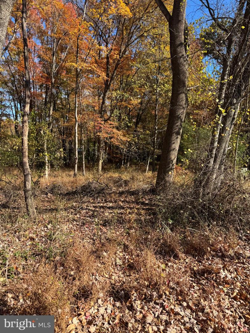 BLUE RIDGE LANE #24A3, GREAT FALLS, Virginia 22066, ,Land,For sale,BLUE RIDGE LANE #24A3,VAFX2275428 MLS # VAFX2275428