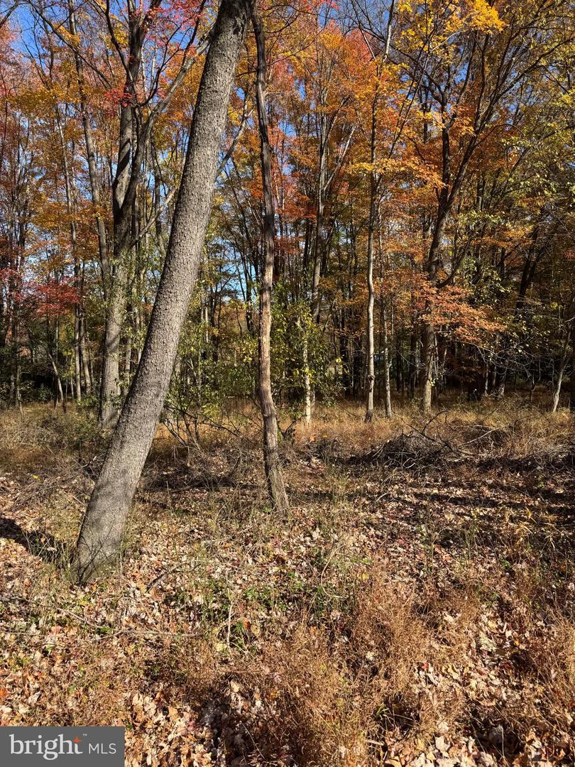 BLUE RIDGE LANE #24A3, GREAT FALLS, Virginia 22066, ,Land,For sale,BLUE RIDGE LANE #24A3,VAFX2275428 MLS # VAFX2275428