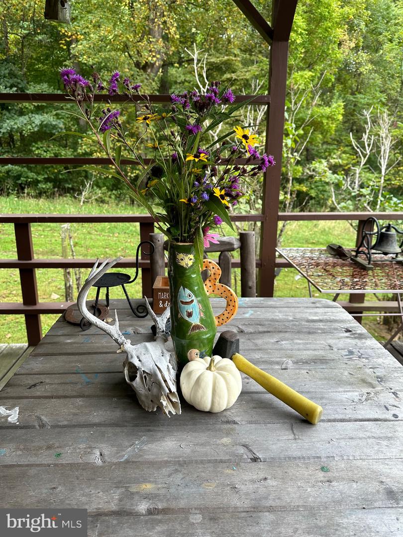 1463 QUAKER RUN RD, BANCO, Virginia 22711, 2 Bedrooms Bedrooms, ,1 BathroomBathrooms,Residential,For sale,1463 QUAKER RUN RD,VAMA2002502 MLS # VAMA2002502 1463 QUAKER RUN RD, BANCO, Virginia 22711, 2 Bedrooms Bedrooms, ,1 BathroomBathrooms,Residential,For sale,1463 QUAKER RUN RD,VAMA2002502 MLS # VAMA2002502