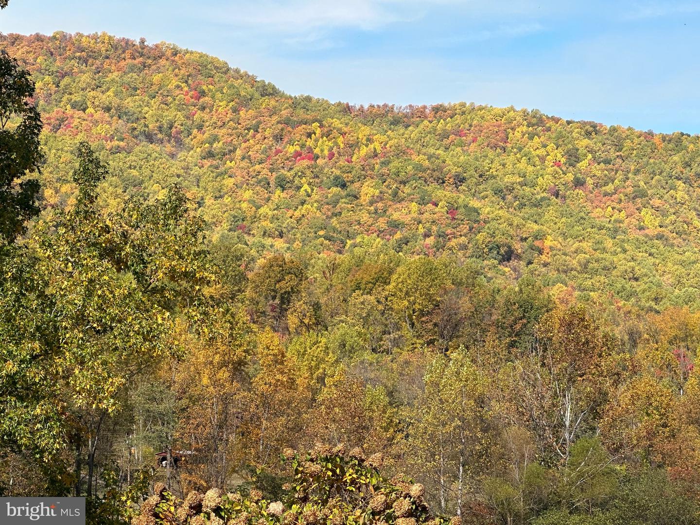 1463 QUAKER RUN RD, BANCO, Virginia 22711, 2 Bedrooms Bedrooms, ,1 BathroomBathrooms,Residential,For sale,1463 QUAKER RUN RD,VAMA2002502 MLS # VAMA2002502 1463 QUAKER RUN RD, BANCO, Virginia 22711, 2 Bedrooms Bedrooms, ,1 BathroomBathrooms,Residential,For sale,1463 QUAKER RUN RD,VAMA2002502 MLS # VAMA2002502