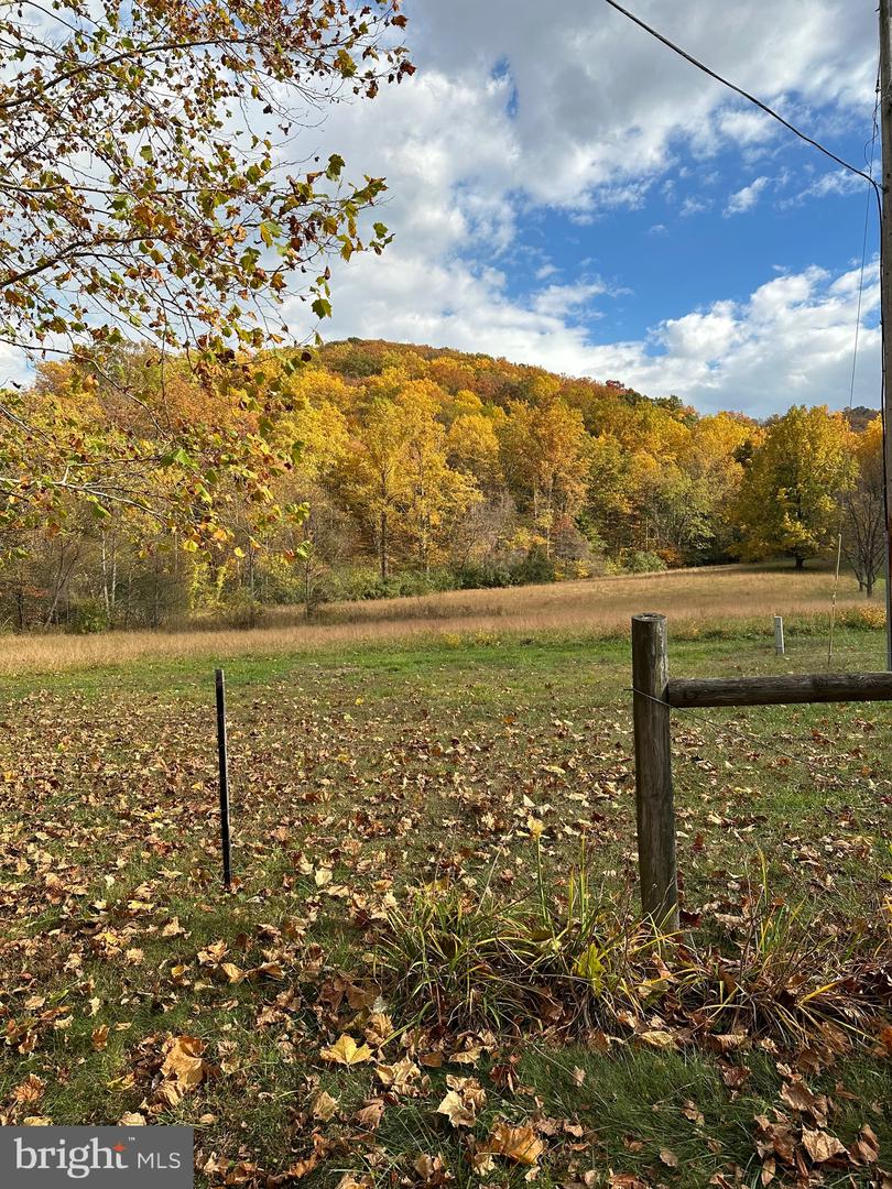 1463 QUAKER RUN RD, BANCO, Virginia 22711, 2 Bedrooms Bedrooms, ,1 BathroomBathrooms,Residential,For sale,1463 QUAKER RUN RD,VAMA2002502 MLS # VAMA2002502 1463 QUAKER RUN RD, BANCO, Virginia 22711, 2 Bedrooms Bedrooms, ,1 BathroomBathrooms,Residential,For sale,1463 QUAKER RUN RD,VAMA2002502 MLS # VAMA2002502