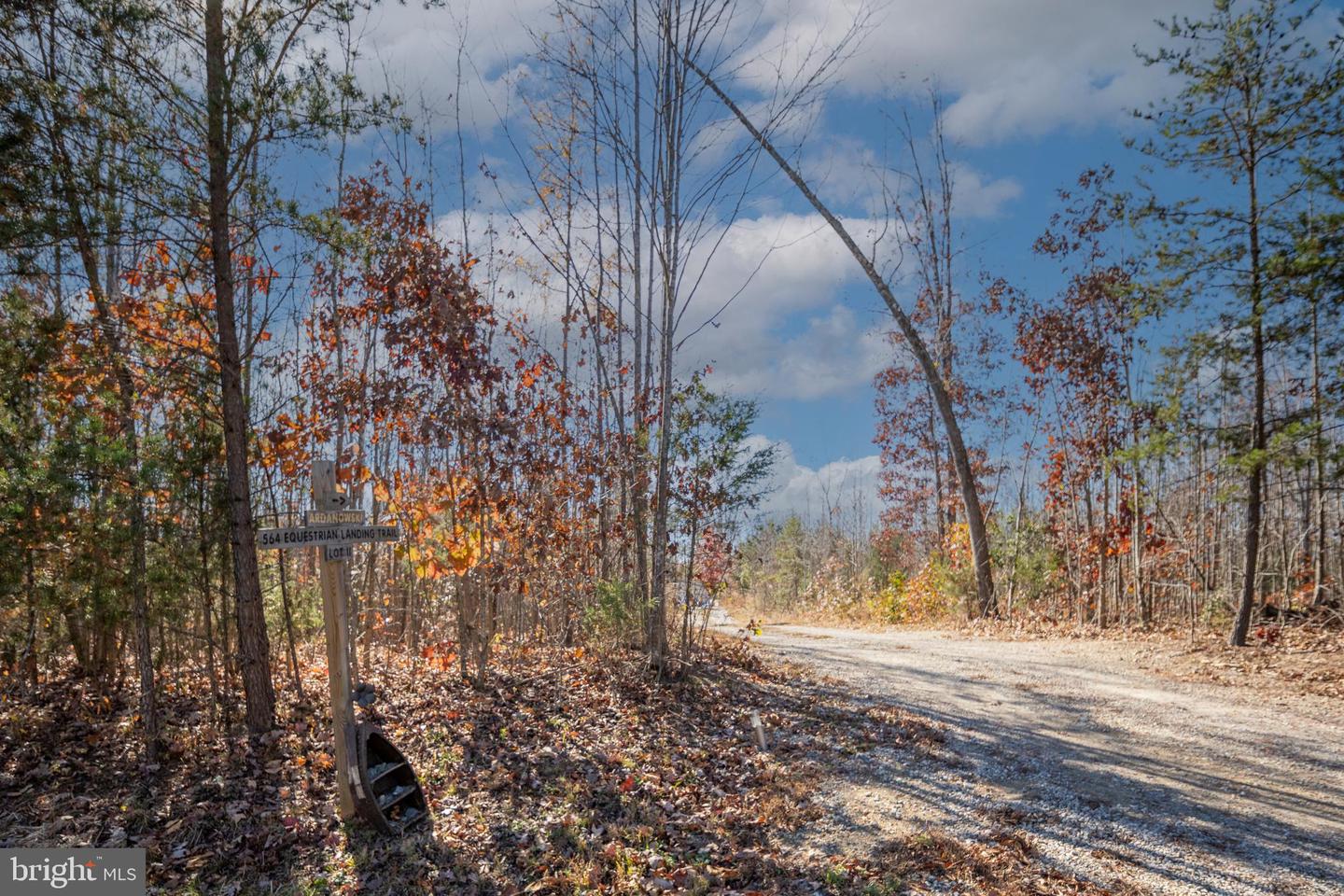 564 EQUESTRIAN LANDING TRL, BUMPASS, Virginia 23024, 4 Bedrooms Bedrooms, ,2 BathroomsBathrooms,Residential,For sale,564 EQUESTRIAN LANDING TRL,VALA2008856 MLS # VALA2008856