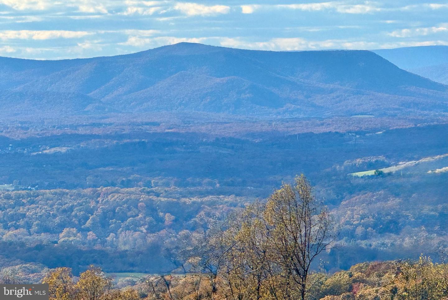 4 LEE DRIVE, LINDEN, Virginia 22642, 3 Bedrooms Bedrooms, ,2 BathroomsBathrooms,Residential,For sale,4 LEE DRIVE,VAWR2012742 MLS # VAWR2012742