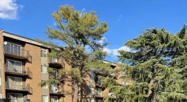 60 S VAN DORN ST #314, ALEXANDRIA, Virginia 22304, 1 Bedroom Bedrooms, ,1 BathroomBathrooms,Residential,For sale,60 S VAN DORN ST #314,VAAX2051612 MLS # VAAX2051612