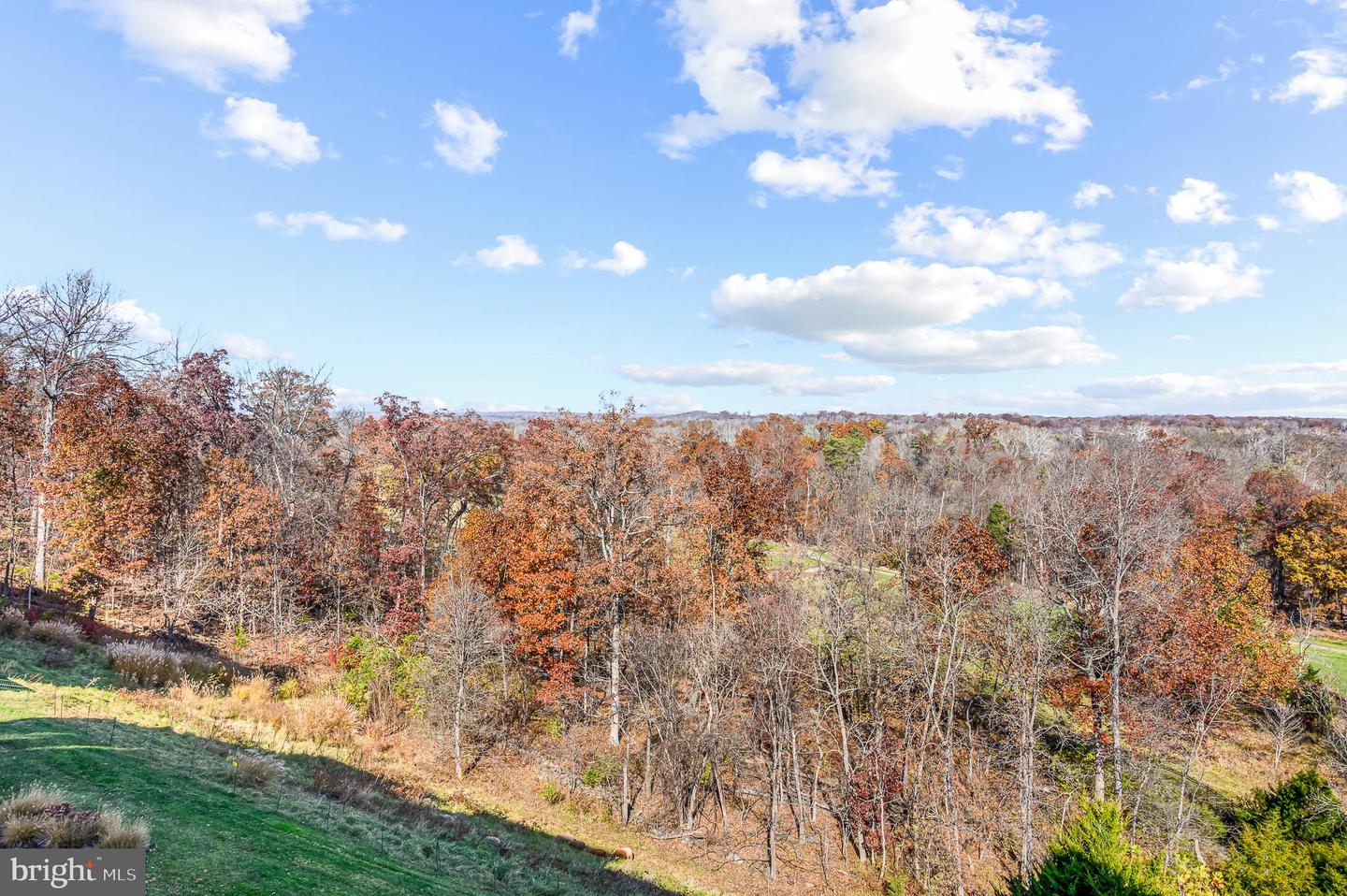 19360 MAGNOLIA GROVE SQ #316, LEESBURG, Virginia 20176, 2 Bedrooms Bedrooms, ,2 BathroomsBathrooms,Residential,For sale,19360 MAGNOLIA GROVE SQ #316,VALO2110854 MLS # VALO2110854