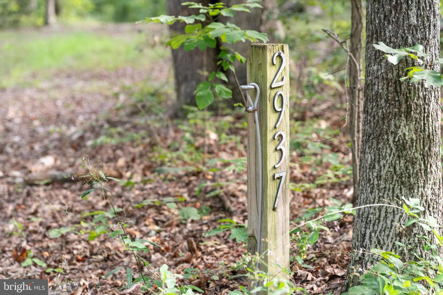 2937 BLOUNT DR, BUMPASS, Virginia 23024, 9 Bedrooms Bedrooms, ,6 BathroomsBathrooms,Residential,For sale,2937 BLOUNT DR,VASP2037494 MLS # VASP2037494