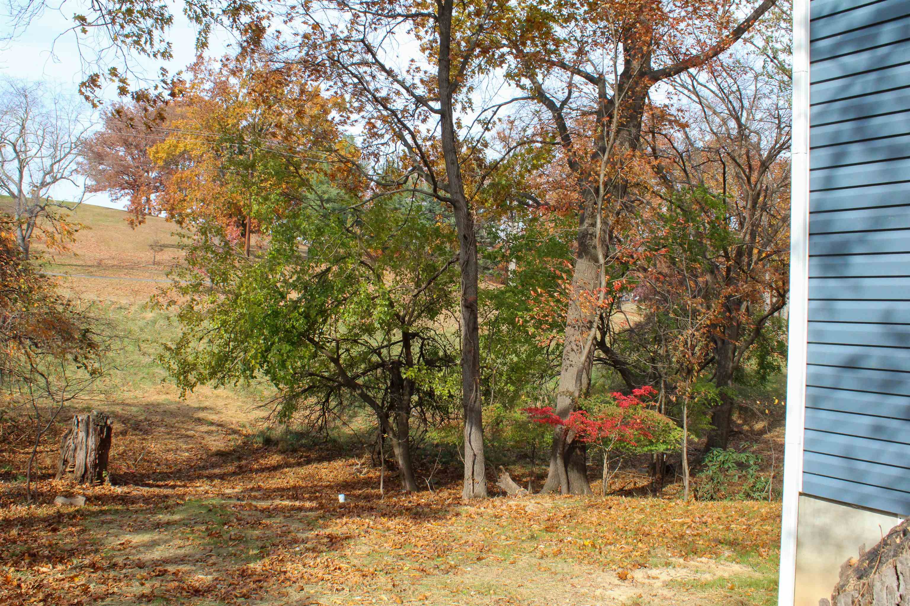 312 N WAVERLY ST, STAUNTON, Virginia 24401, 3 Bedrooms Bedrooms, ,2 BathroomsBathrooms,Residential,312 N WAVERLY ST,670905 MLS # 670905