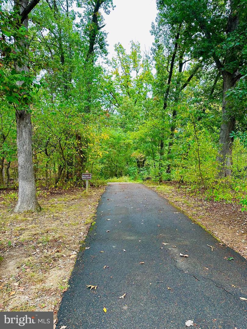 5051 7TH RD S #201, ARLINGTON, Virginia 22204, 1 Bedroom Bedrooms, ,1 BathroomBathrooms,Residential,For sale,5051 7TH RD S #201,VAAR2065352 MLS # VAAR2065352