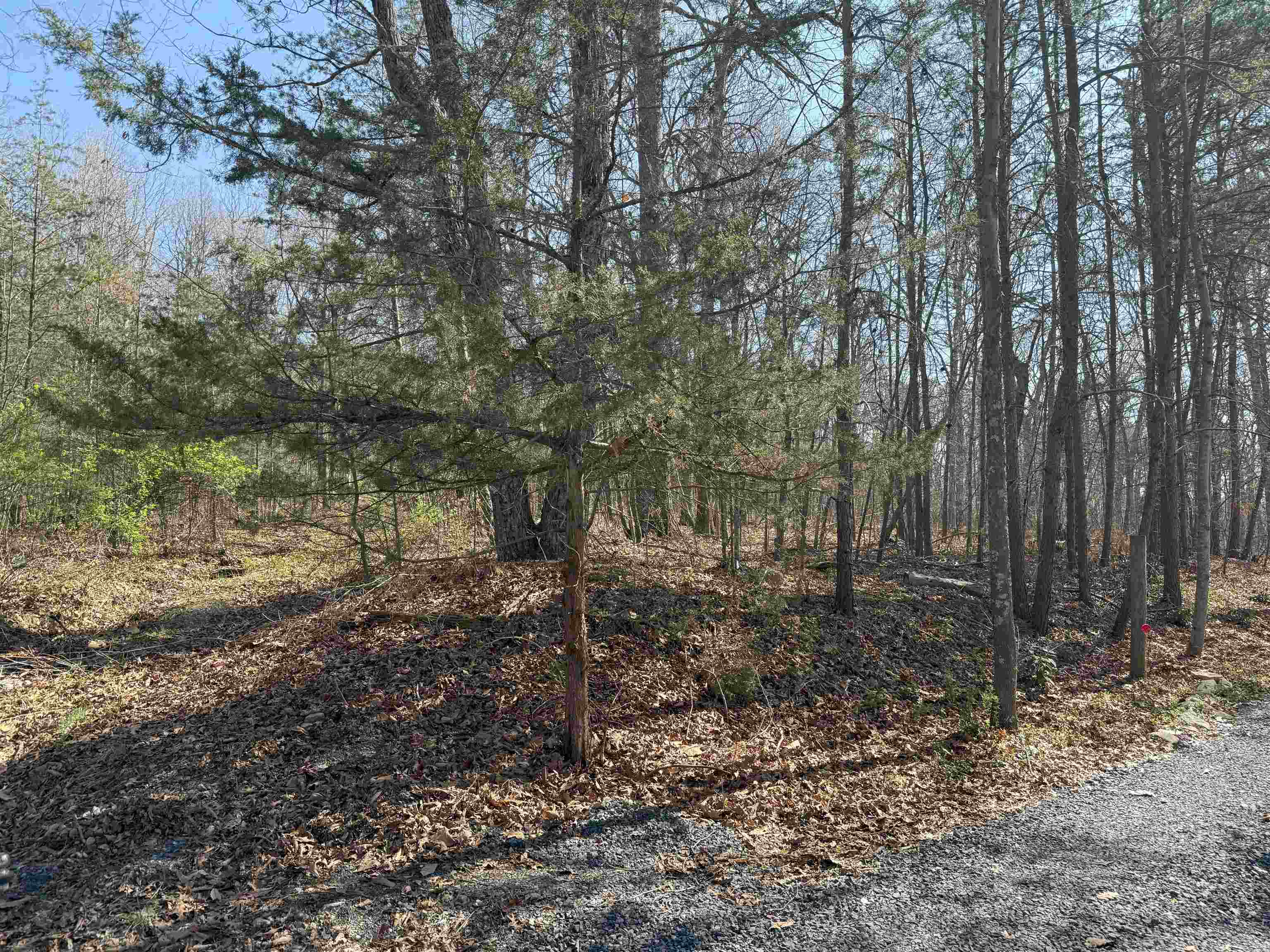 TBD SHOTGUN SPRING RD, NEW MARKET, Virginia 22844, ,Land,TBD SHOTGUN SPRING RD,670917 MLS # 670917