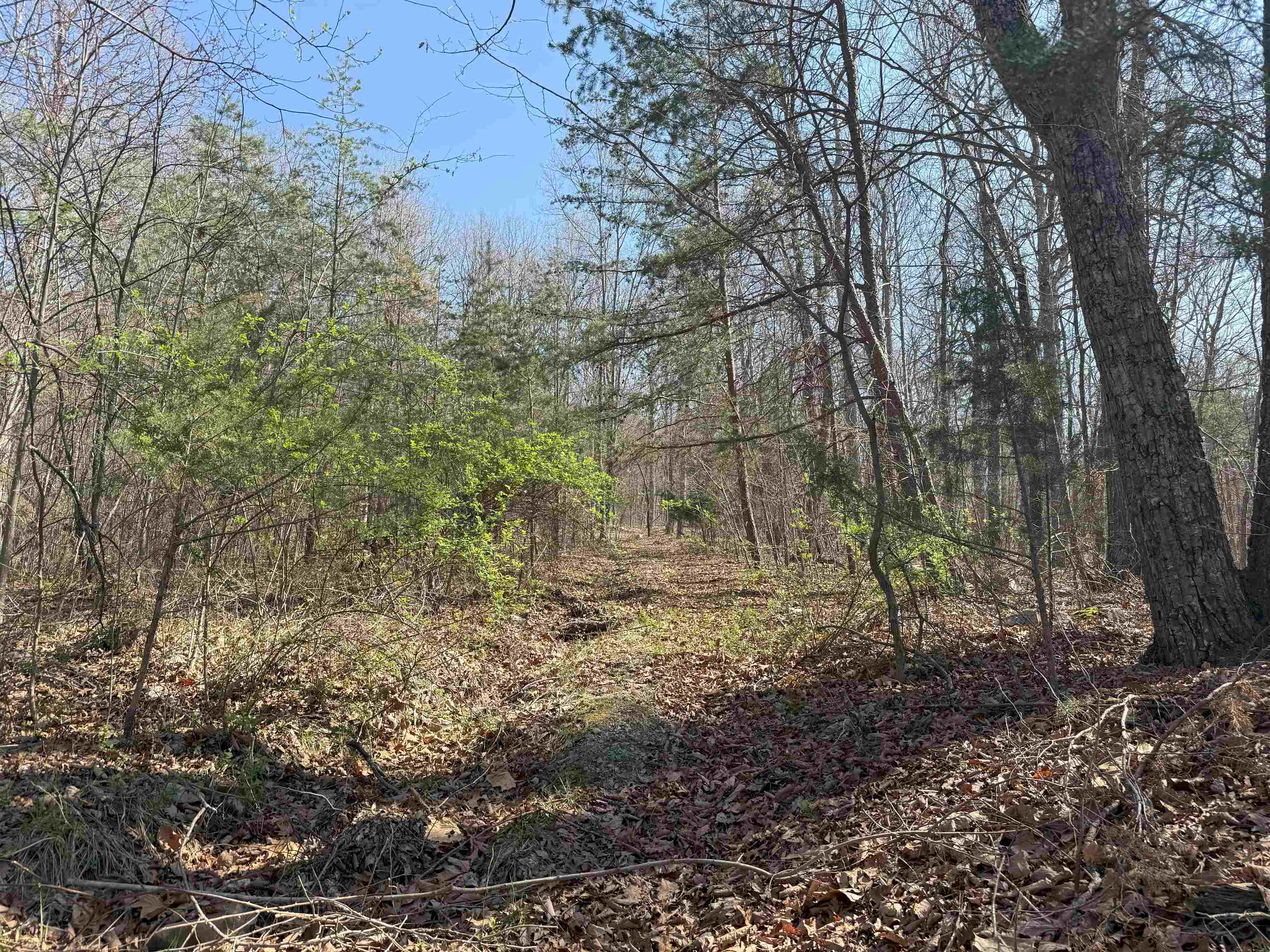 TBD SHOTGUN SPRING RD, NEW MARKET, Virginia 22844, ,Land,TBD SHOTGUN SPRING RD,670917 MLS # 670917