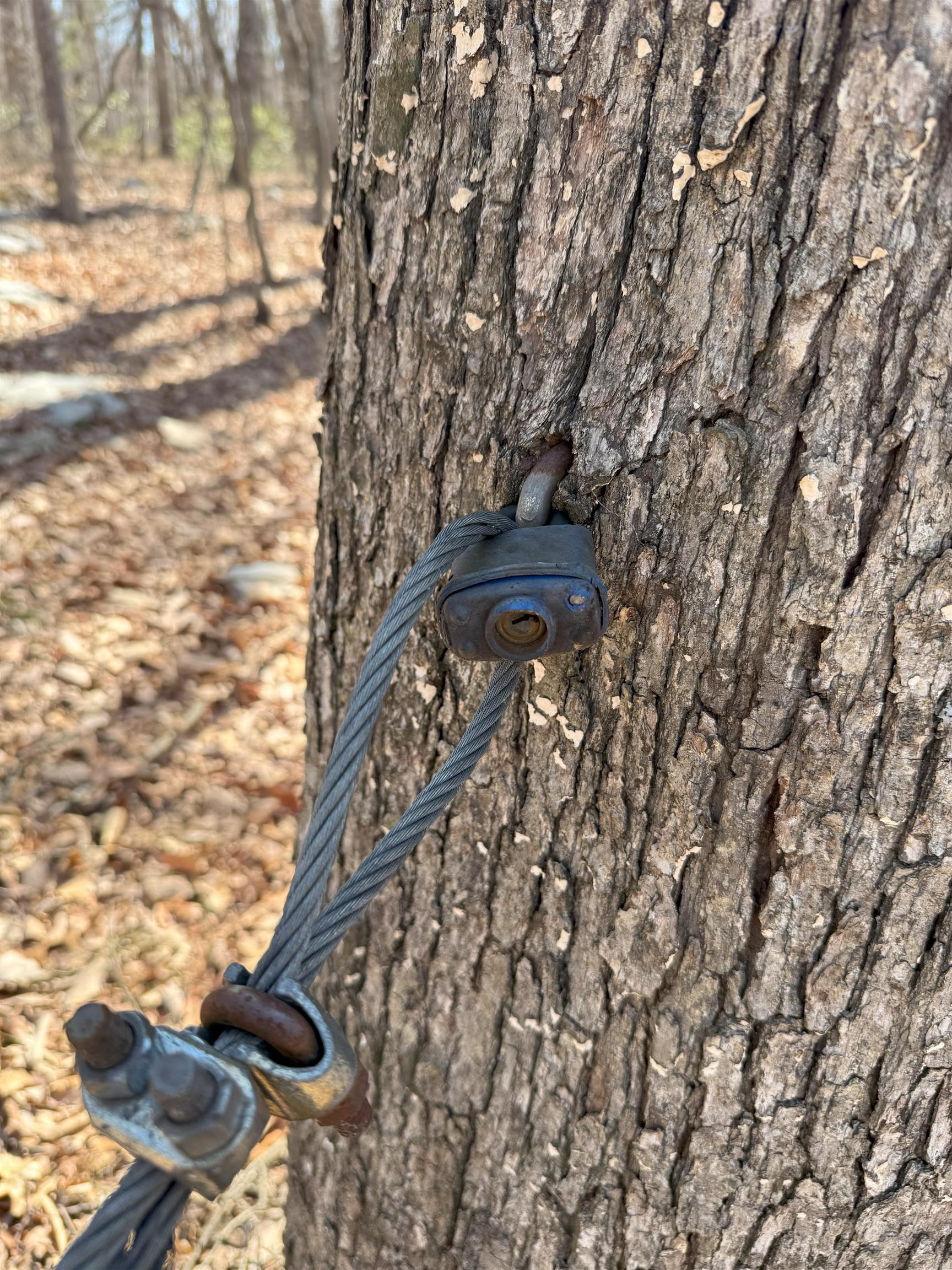 TBD SHOTGUN SPRING RD, NEW MARKET, Virginia 22844, ,Land,TBD SHOTGUN SPRING RD,670917 MLS # 670917