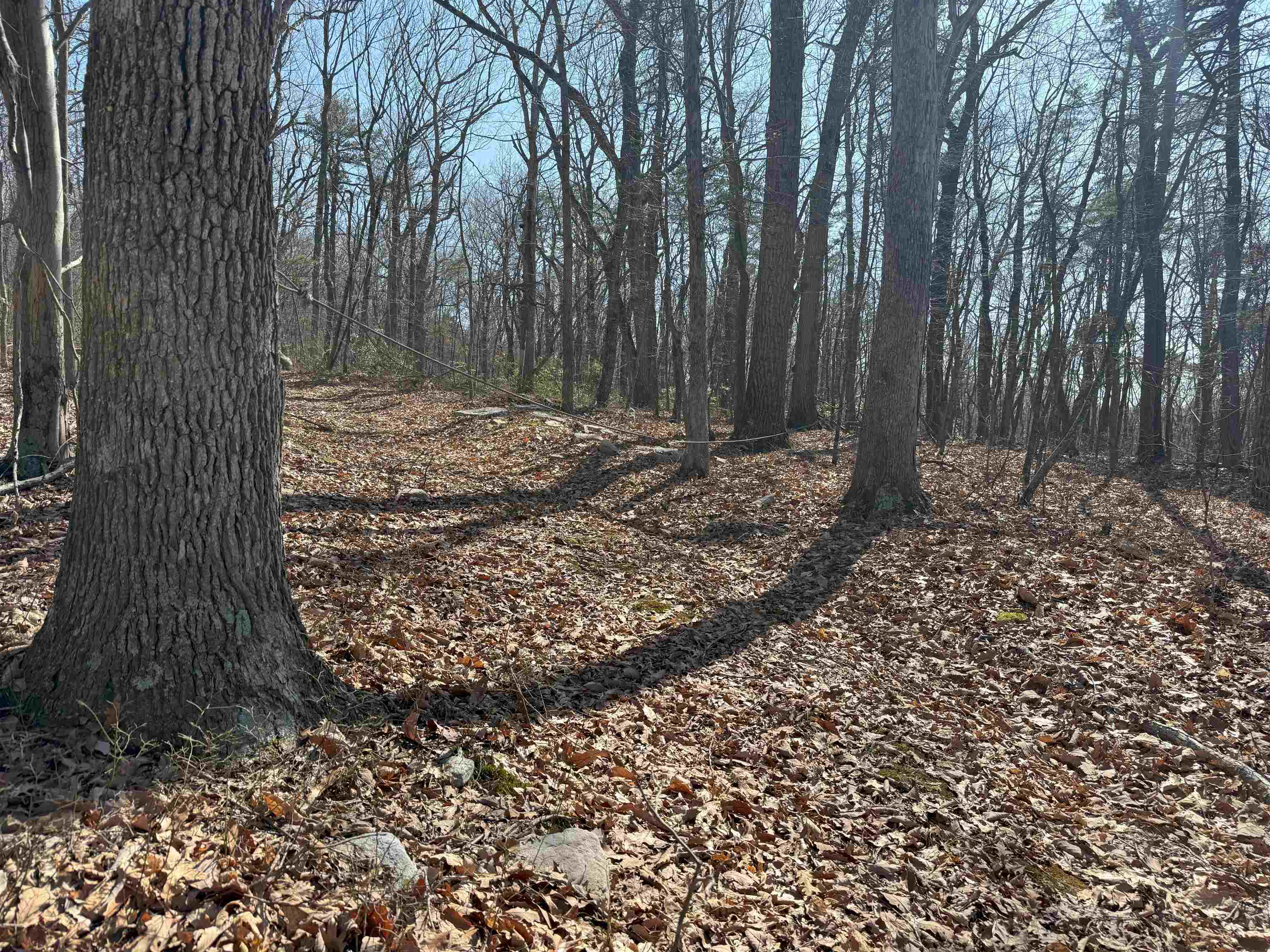 TBD SHOTGUN SPRING RD, NEW MARKET, Virginia 22844, ,Land,TBD SHOTGUN SPRING RD,670917 MLS # 670917