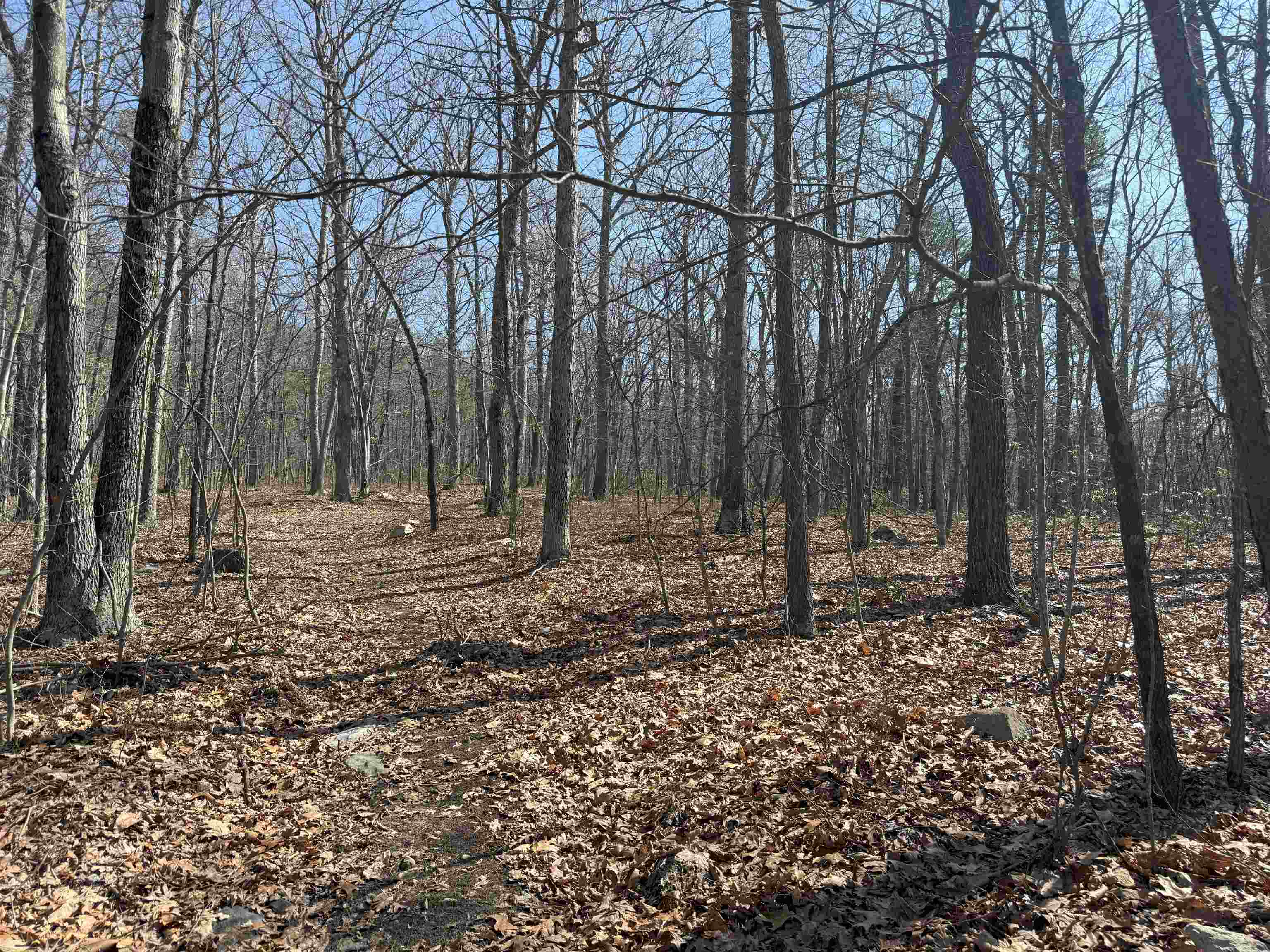 TBD SHOTGUN SPRING RD, NEW MARKET, Virginia 22844, ,Land,TBD SHOTGUN SPRING RD,670917 MLS # 670917
