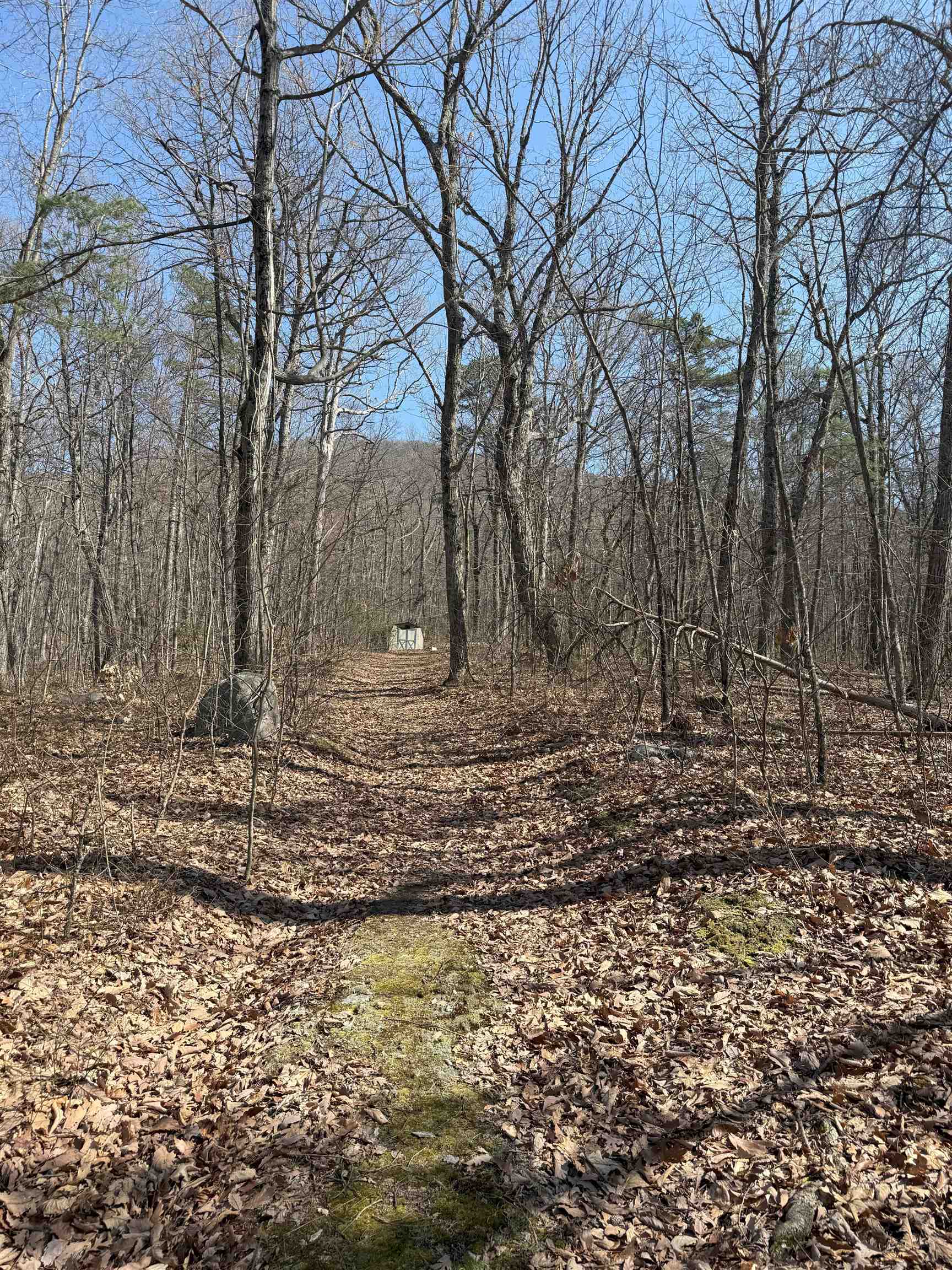 TBD SHOTGUN SPRING RD, NEW MARKET, Virginia 22844, ,Land,TBD SHOTGUN SPRING RD,670917 MLS # 670917