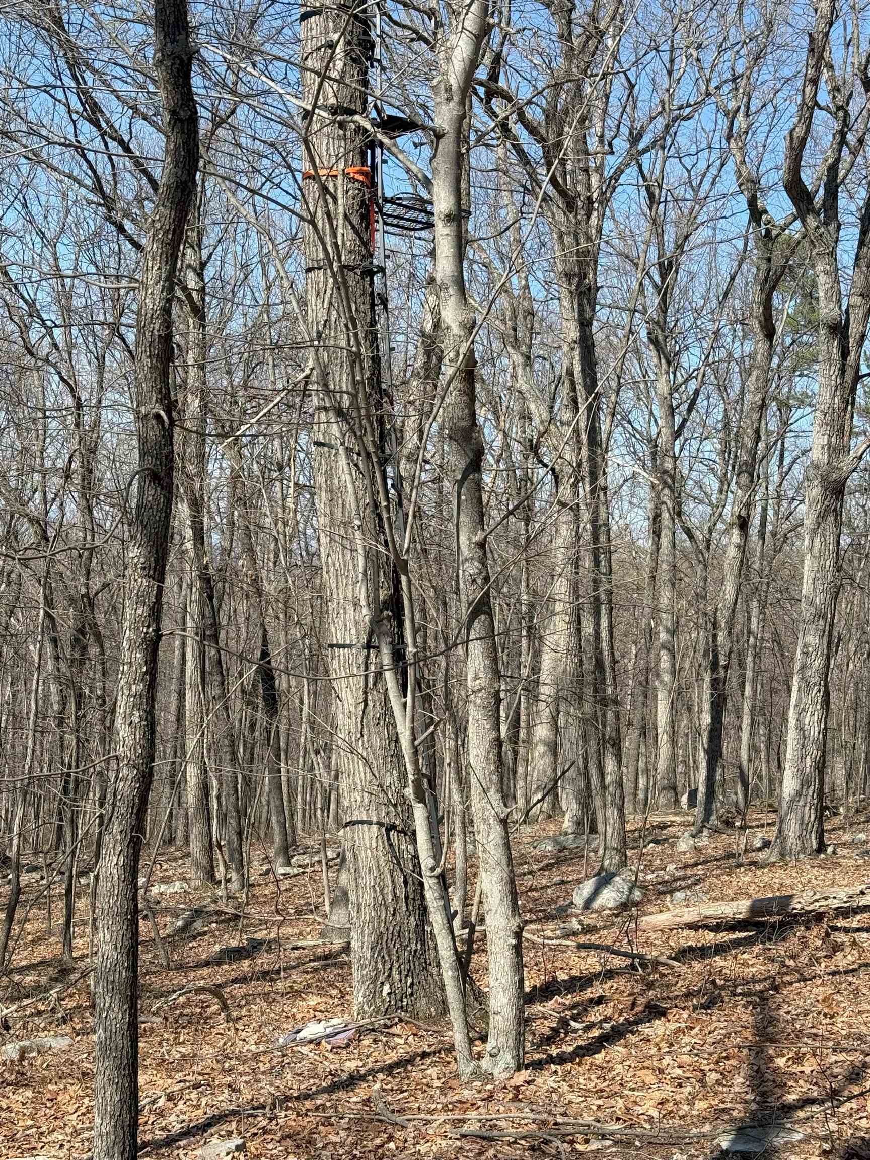 TBD SHOTGUN SPRING RD, NEW MARKET, Virginia 22844, ,Land,TBD SHOTGUN SPRING RD,670917 MLS # 670917