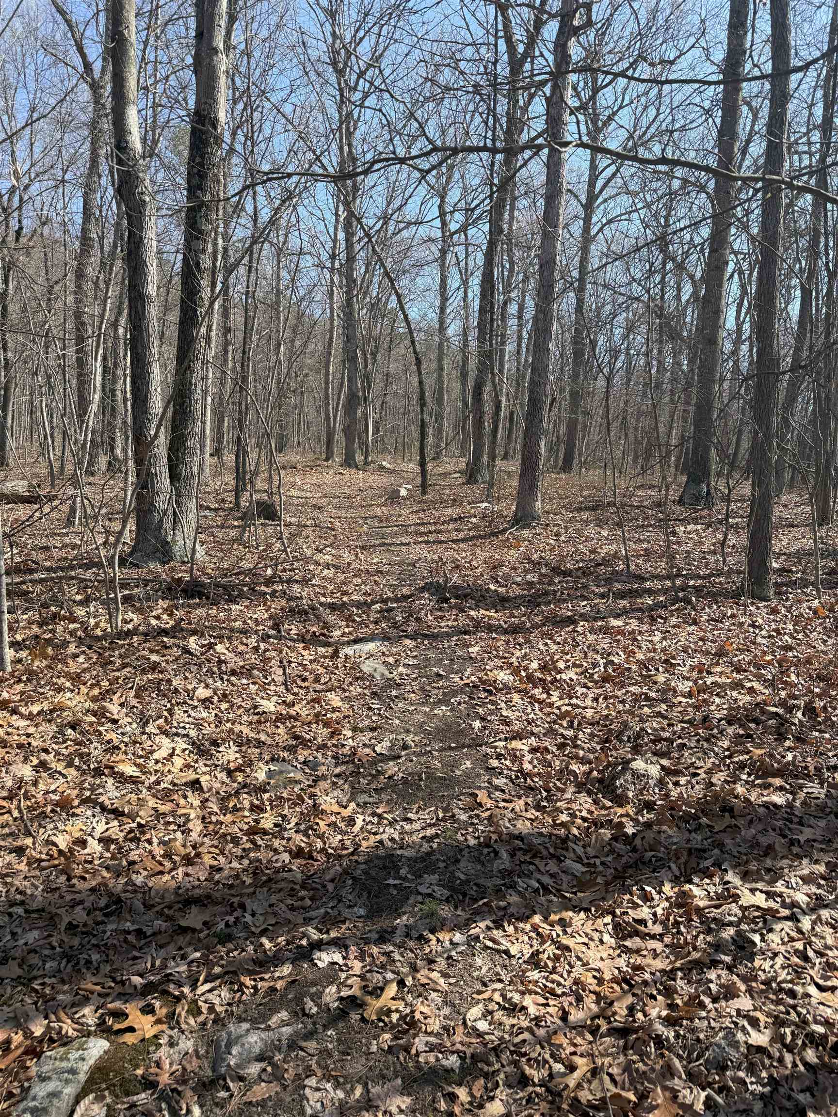 TBD SHOTGUN SPRING RD, NEW MARKET, Virginia 22844, ,Land,TBD SHOTGUN SPRING RD,670917 MLS # 670917