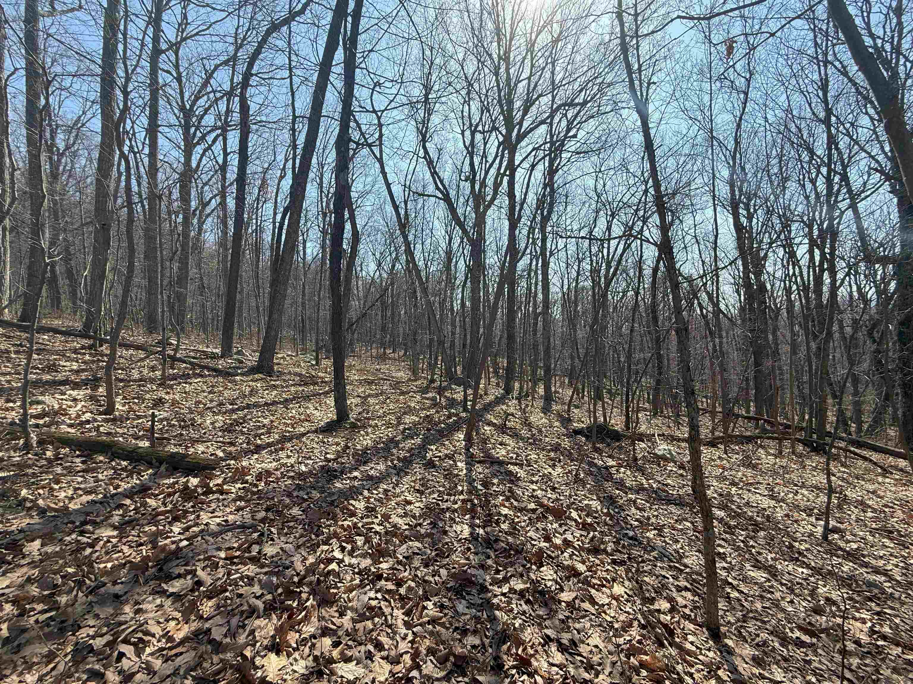 TBD SHOTGUN SPRING RD, NEW MARKET, Virginia 22844, ,Land,TBD SHOTGUN SPRING RD,670917 MLS # 670917