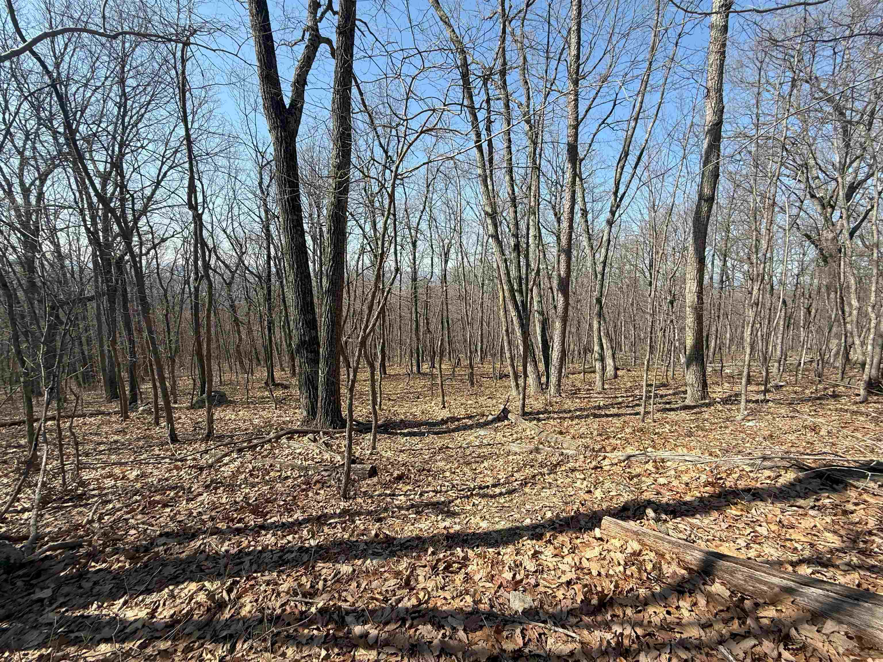 TBD SHOTGUN SPRING RD, NEW MARKET, Virginia 22844, ,Land,TBD SHOTGUN SPRING RD,670917 MLS # 670917